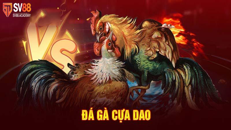 Đá gà cựa dao - Thể loại cá độ đẳng cấp tại nhà cái SV88 18 Thể thao đá gà cựa dao